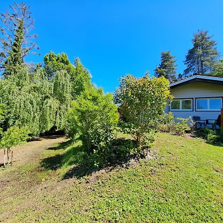 Bois D'ete Saint-Julien-en-Born